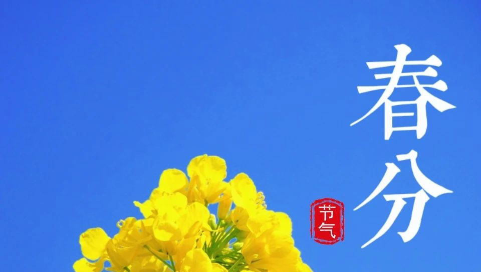 愛(ài)生活 愛(ài)簡(jiǎn)小葉|春分茶事：一杯春意，半盞清歡