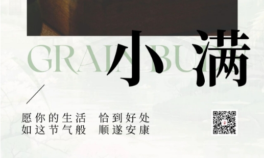 小滿盈盞｜以一杯「恰好」的茶湯，對飲人間小圓滿
