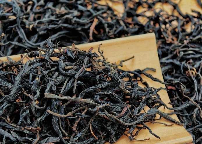 簡(jiǎn)小葉說(shuō)茶|千年古樹(shù)，一盞紅韻——探秘云南古樹(shù)紅茶的自然饋贈(zèng)