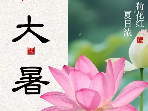 大暑|伏意盛極 茶涼長夏