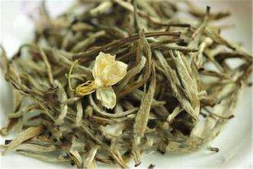 開卷有益｜茉莉花茶里沒有花，是真的嗎？