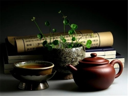簡(jiǎn)小葉說(shuō)茶|白茶的紫砂壺沖泡
