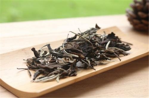 簡(jiǎn)小葉說(shuō)茶|哪種白茶更適合收藏？