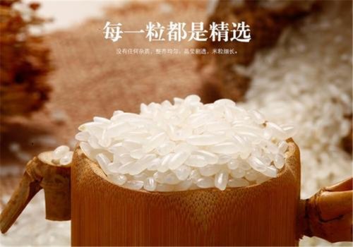 愛生活 愛簡小葉|土樓富硒米：拒絕陳化米，開啟鮮活米時代。